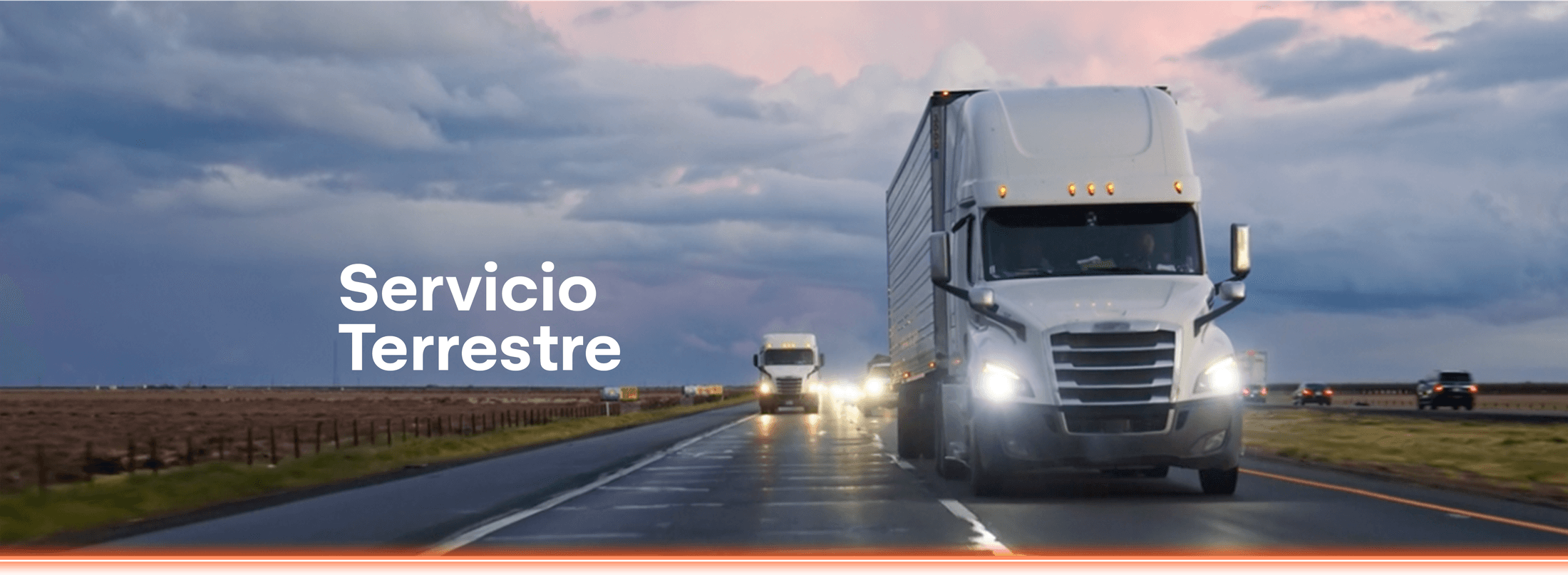 Servicio Terrestre